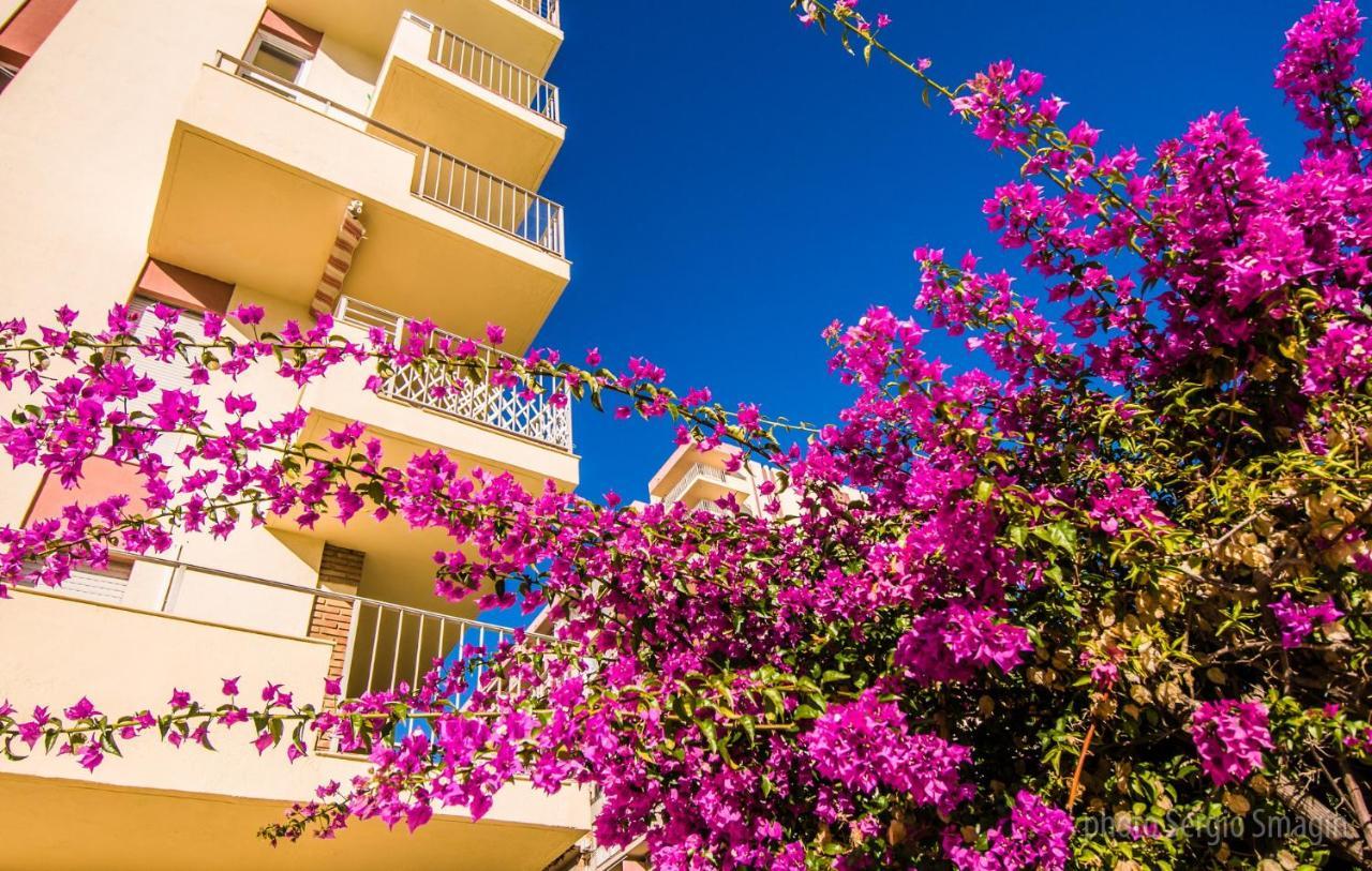 127 Jupiter Estudio. Vista Al Jardin Y La Piscina. Benalmádena Exterior photo